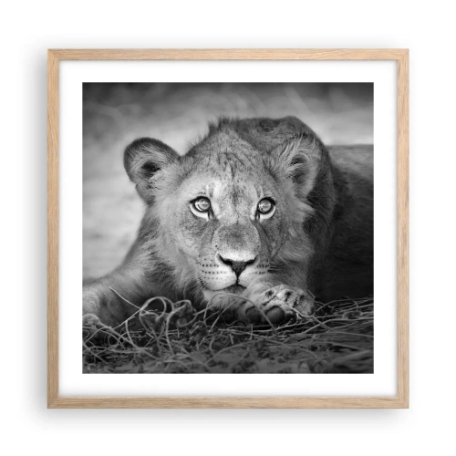 Pôster com moldura de carvalho claro - Cachorro real - 50x50 cm