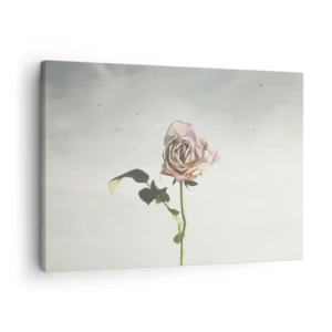 Quadro em tela - Uma rosa delicada contra um céu brilhante com pássaros voando - 70x50cm - Boas-vindas da primavera  - Decoração de parede moderna para a sala de estar e quarto ARTTOR