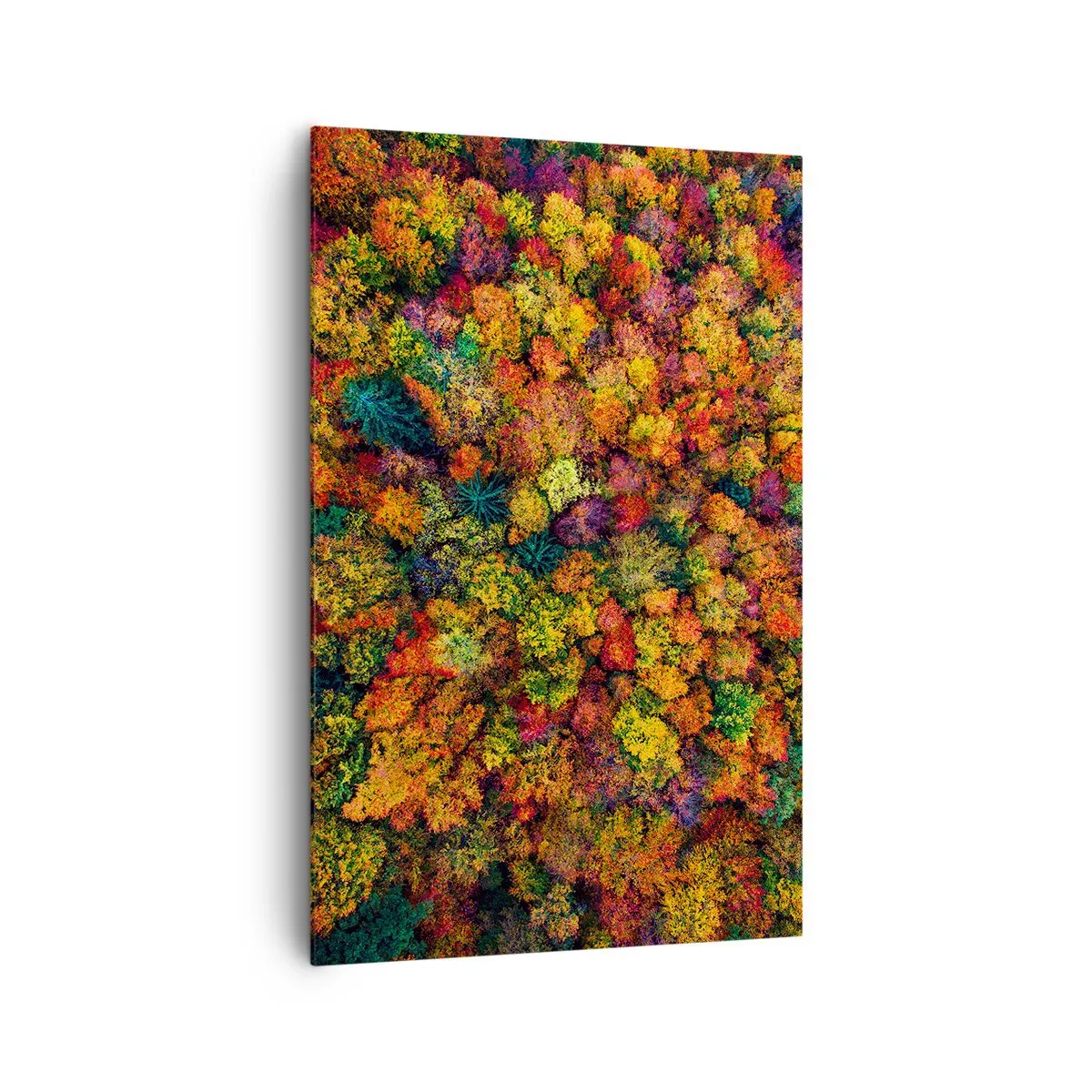 Quadro em tela - Bouquet de árvores de Outono - 80x120 cm