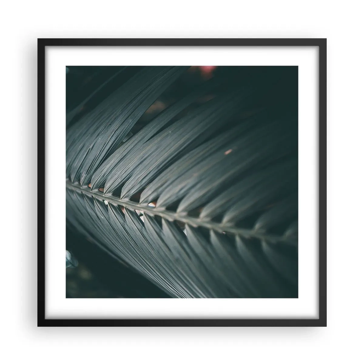 Pôster com moldura preta - A precisão da natureza - 50x50 cm