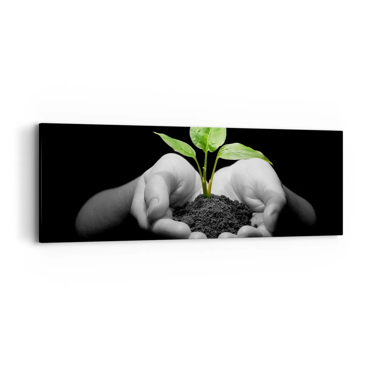 Quadro em tela - Eu amo a natureza, eu a protejo - 90x30 cm