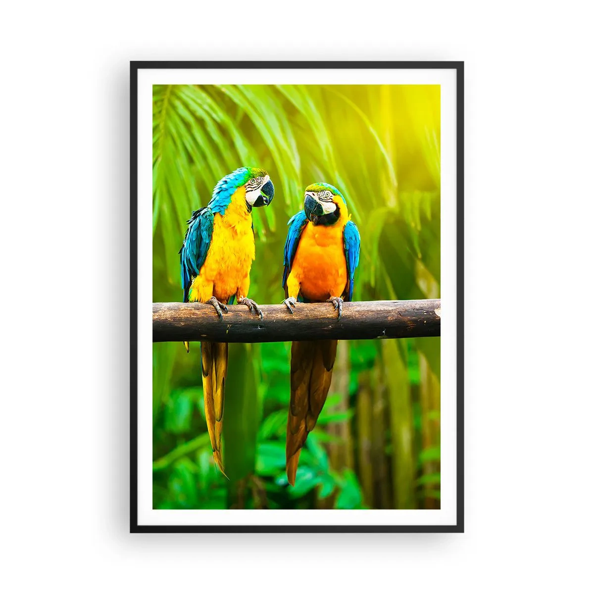 Pôster com moldura preta - E ouviste dizer que ela...? - 70x100 cm