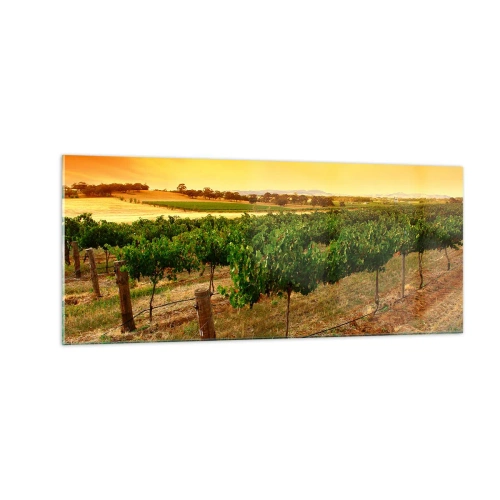 Quadro em vidro - Sede de sol - 100x40 cm
