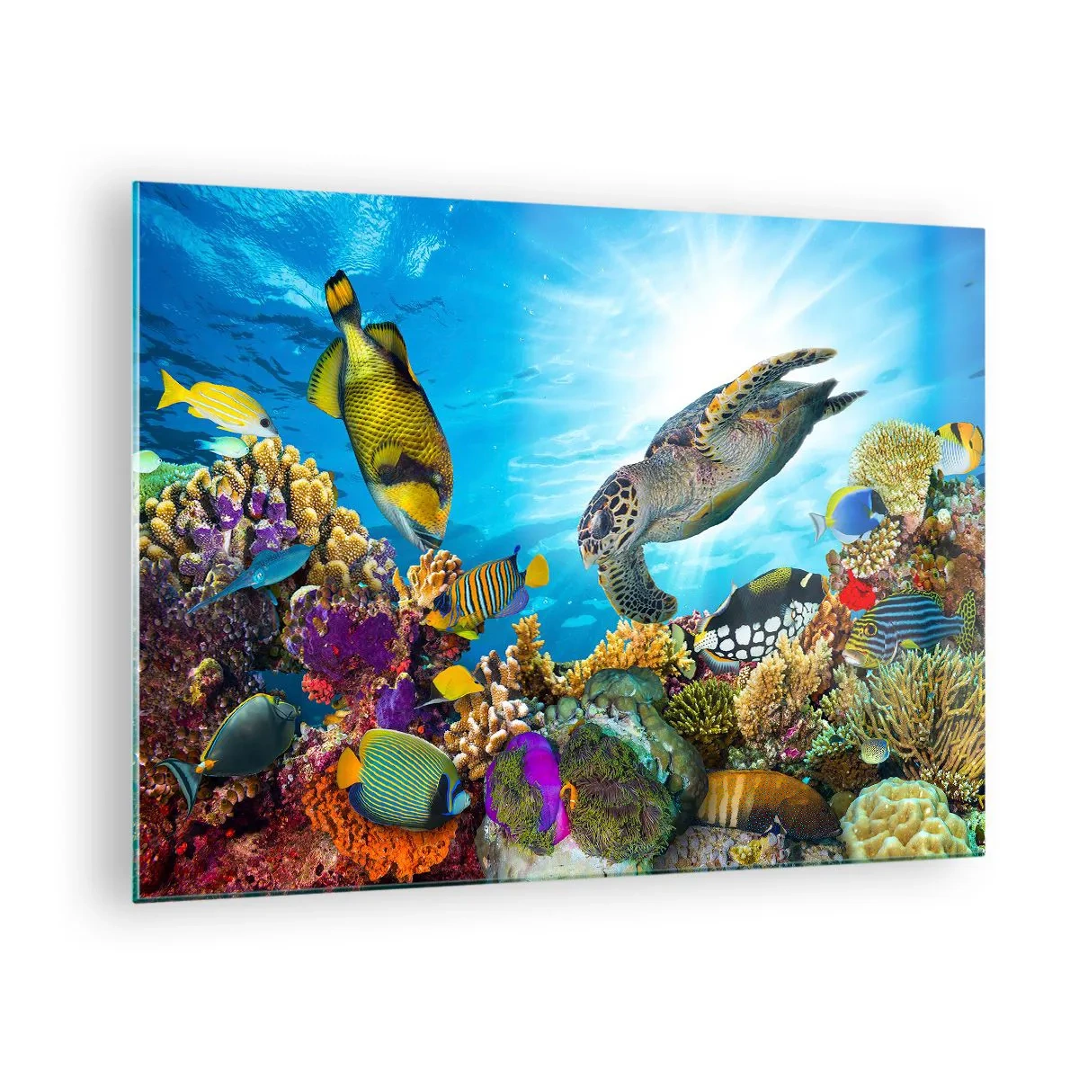 Quadro em vidro - Cena subaquática com tartarugas, peixes e corais - 70x50cm - Alameda dos corais - Decoração de parede moderna para a sala de estar e quarto ARTTOR