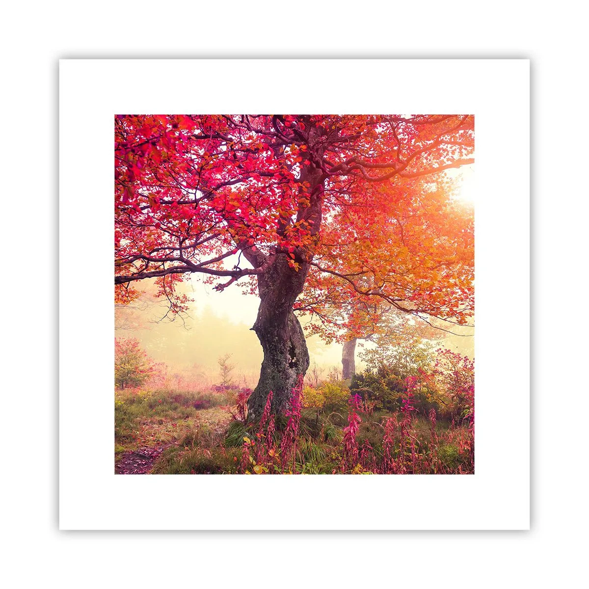 Pôster - Um frenesi de florescimento - 30x30 cm