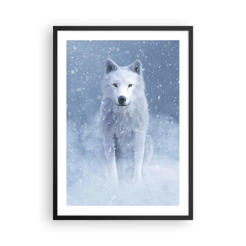 Pôster com moldura preta - Um lobo branco em uma paisagem de inverno, cercado por neve. - 50x70cm - No espírito de inverno - Decoração de parede moderna para a sala de estar e quarto ARTTOR
