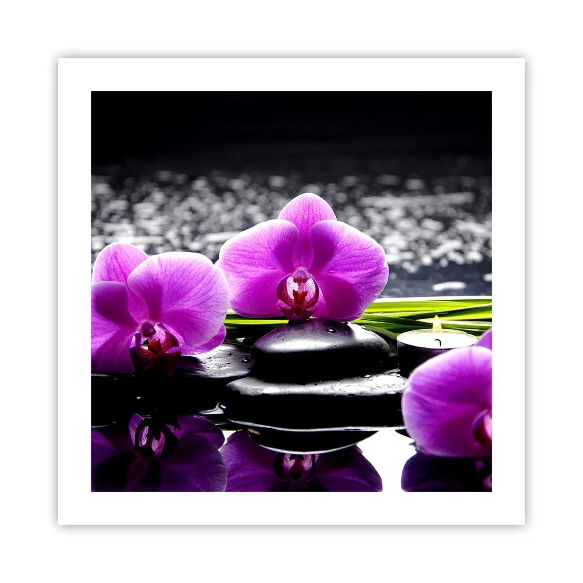 Pôster - Afogar-se na paz e sossego - 50x50 cm