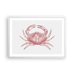 Pôster em moldura branca - Caranguejo sobre caranguejos - 70x50 cm