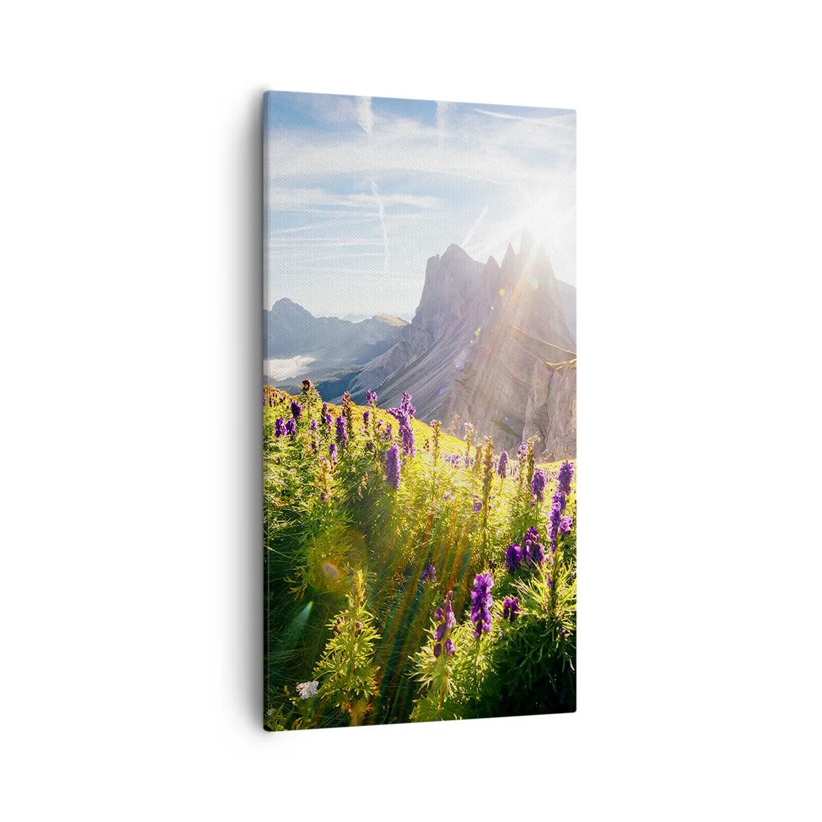 Quadro em tela - A vida secreta das ervas - 55x100 cm