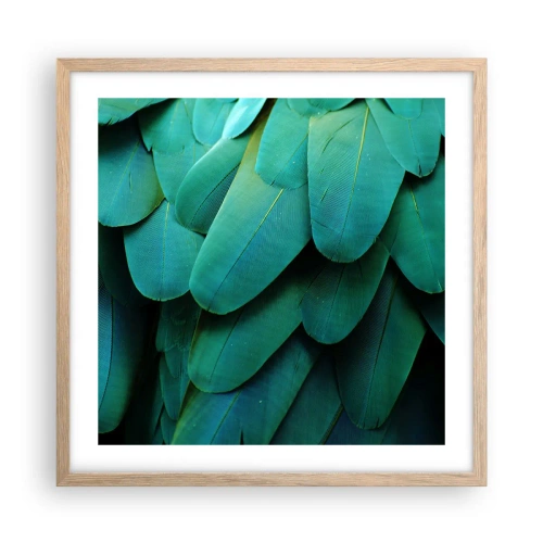 Pôster com moldura de carvalho claro - Precisão de papagaio - 50x50 cm