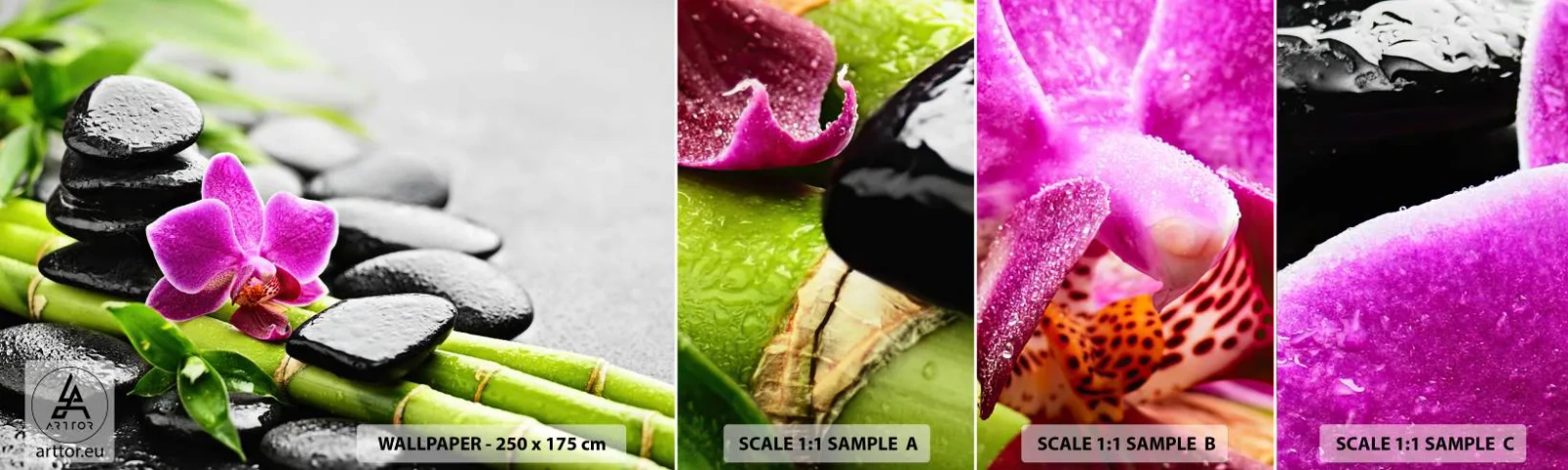 Amostra de Papel de Parede Standard Eco - Calmo equilíbrio - Flores, Orquídea, Orquídea - 100x30 cm