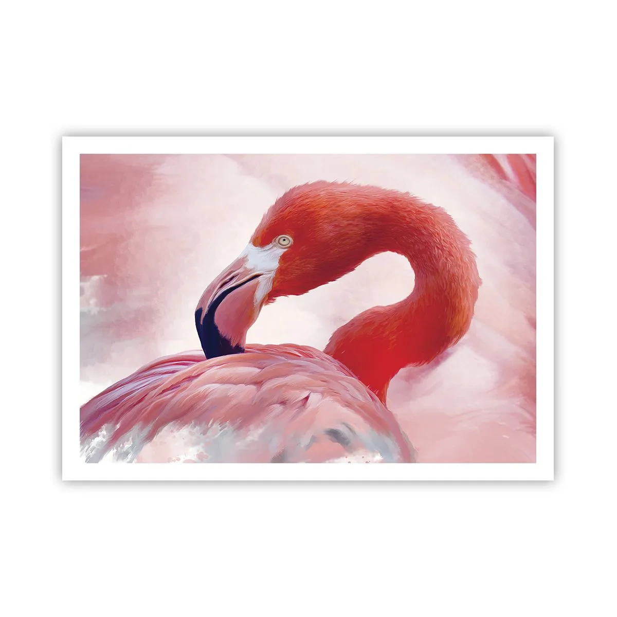 Pôster - Beleza das aves - 100x70 cm