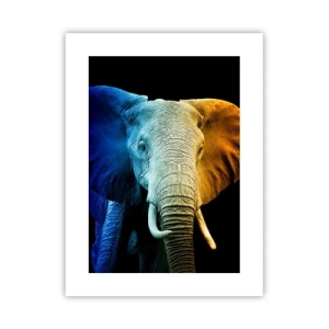 Pôster - Excêntrico, não esquisito - 30x40 cm