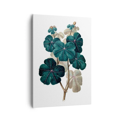 Quadro em tela - Do antigo herbário - 50x70 cm