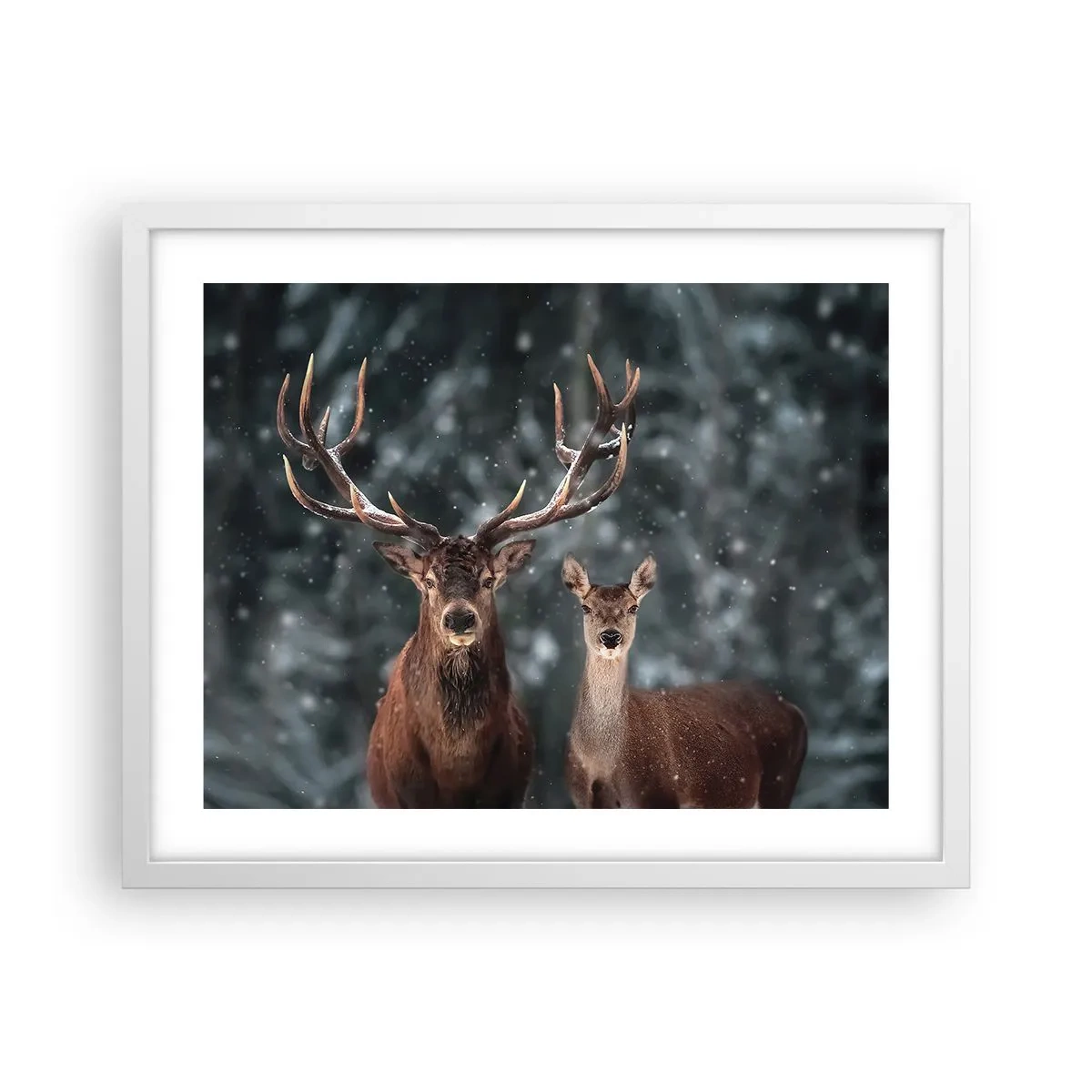 Pôster em moldura branca - O senhor da floresta com sua esposa - 50x40 cm