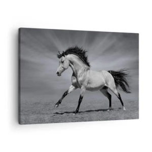 Quadro em tela - Um cavalo preto e branco em uma pose dinâmica no deserto. - 70x50cm - Nascido para encantar - Decoração de parede moderna para a sala de estar e quarto ARTTOR