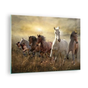 Quadro em vidro - Uma manada de cavalos galopando sob os raios do sol poente - 70x50cm - Viva a liberdade! - Decoração de parede moderna para a sala de estar e quarto ARTTOR