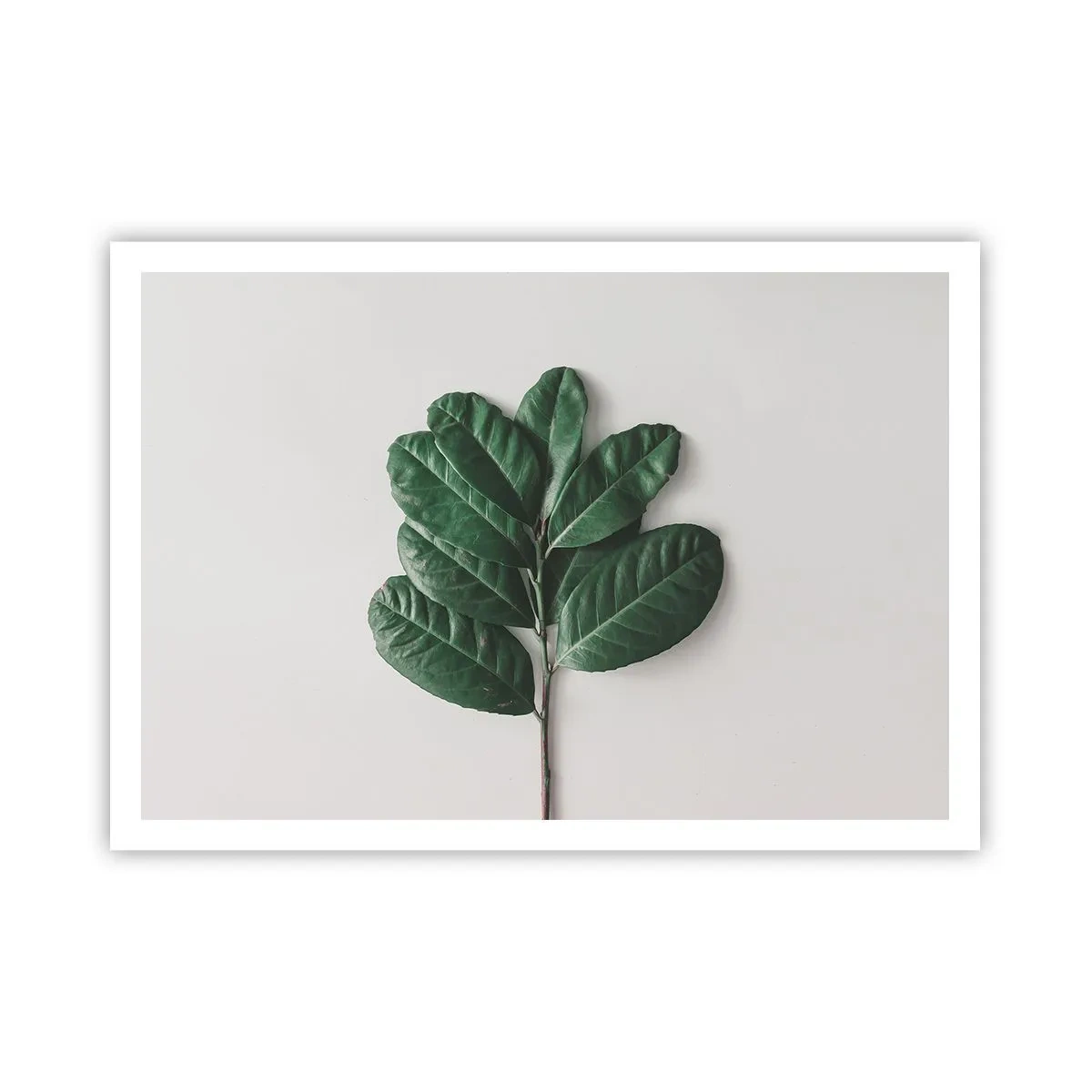 Pôster - Desenho da própria natureza - 100x70 cm