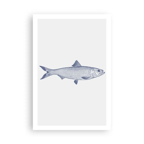 Pôster - Saudações dos mares do norte - 61x91 cm