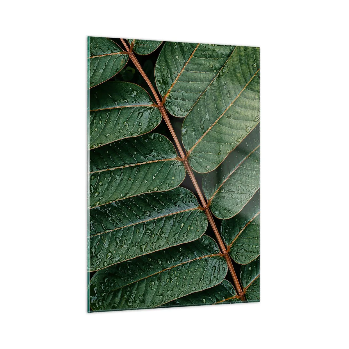 Quadro em vidro - Num ritmo verde - 50x70 cm