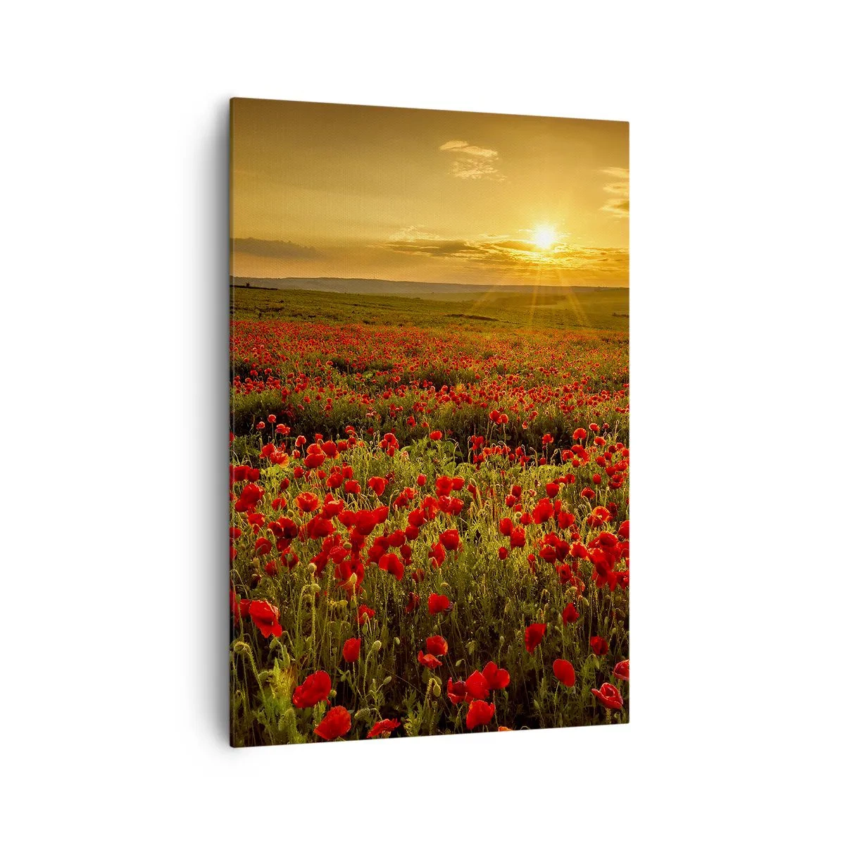 Quadro em tela - Entre o farfalhar da onda de prados, entre o dilúvio das flores - 70x100 cm