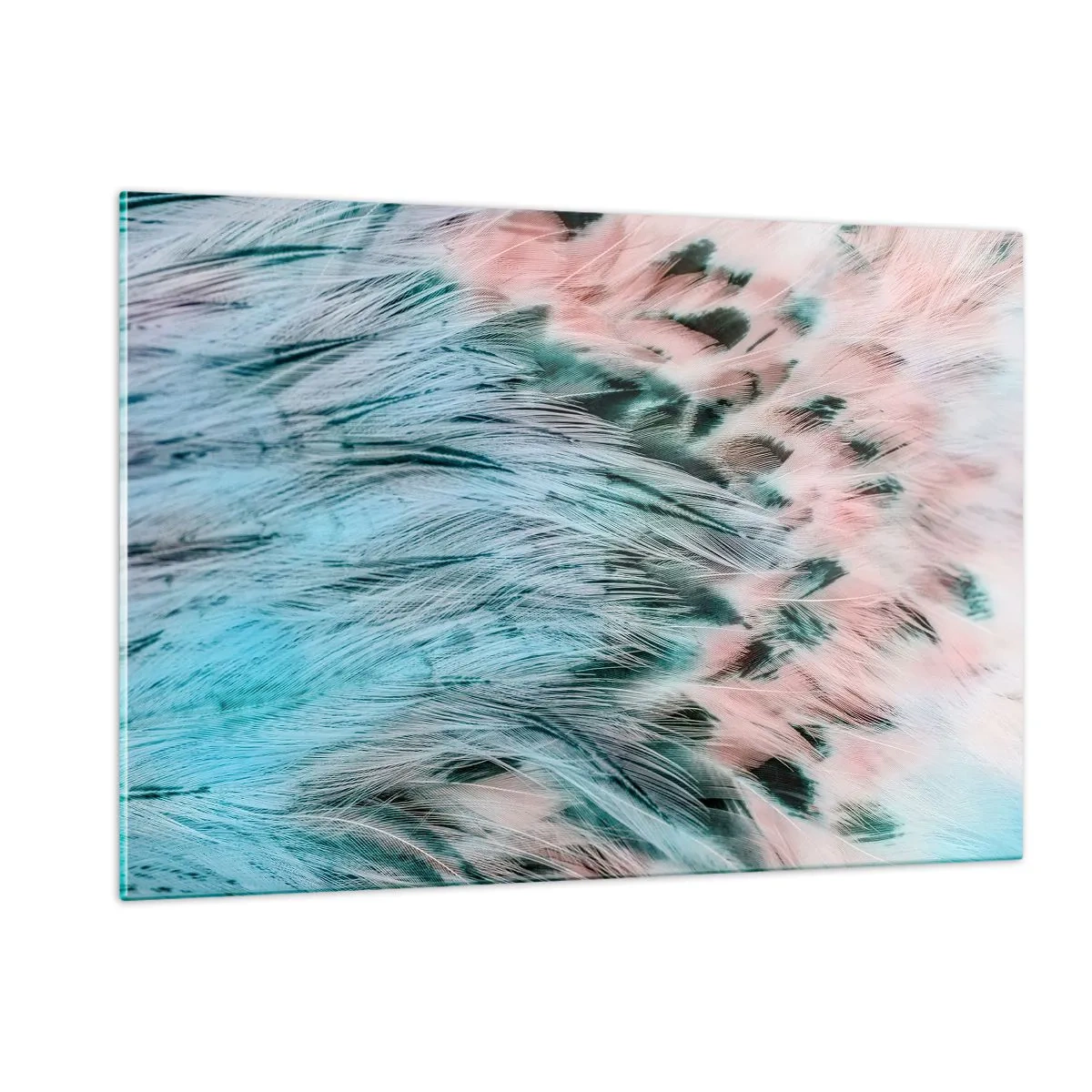 Quadro em vidro - Penugem safira-rosa - 120x80 cm