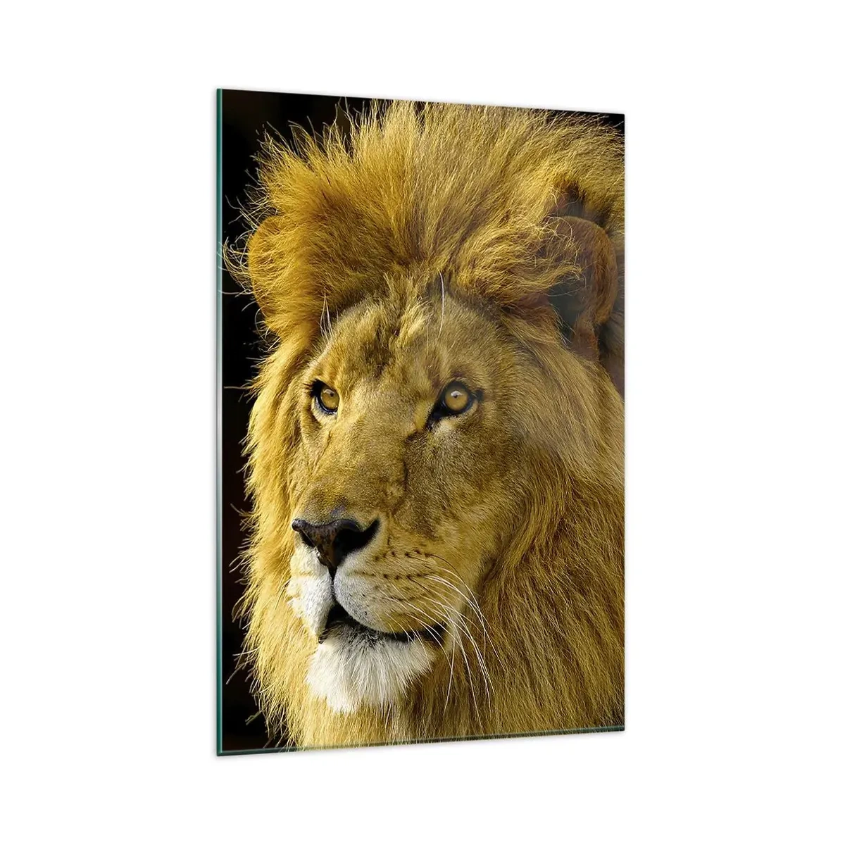 Quadro em vidro - Retrato do Rei - 80x120 cm