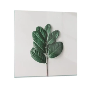 Quadro em vidro - Desenho da própria natureza - 70x70 cm