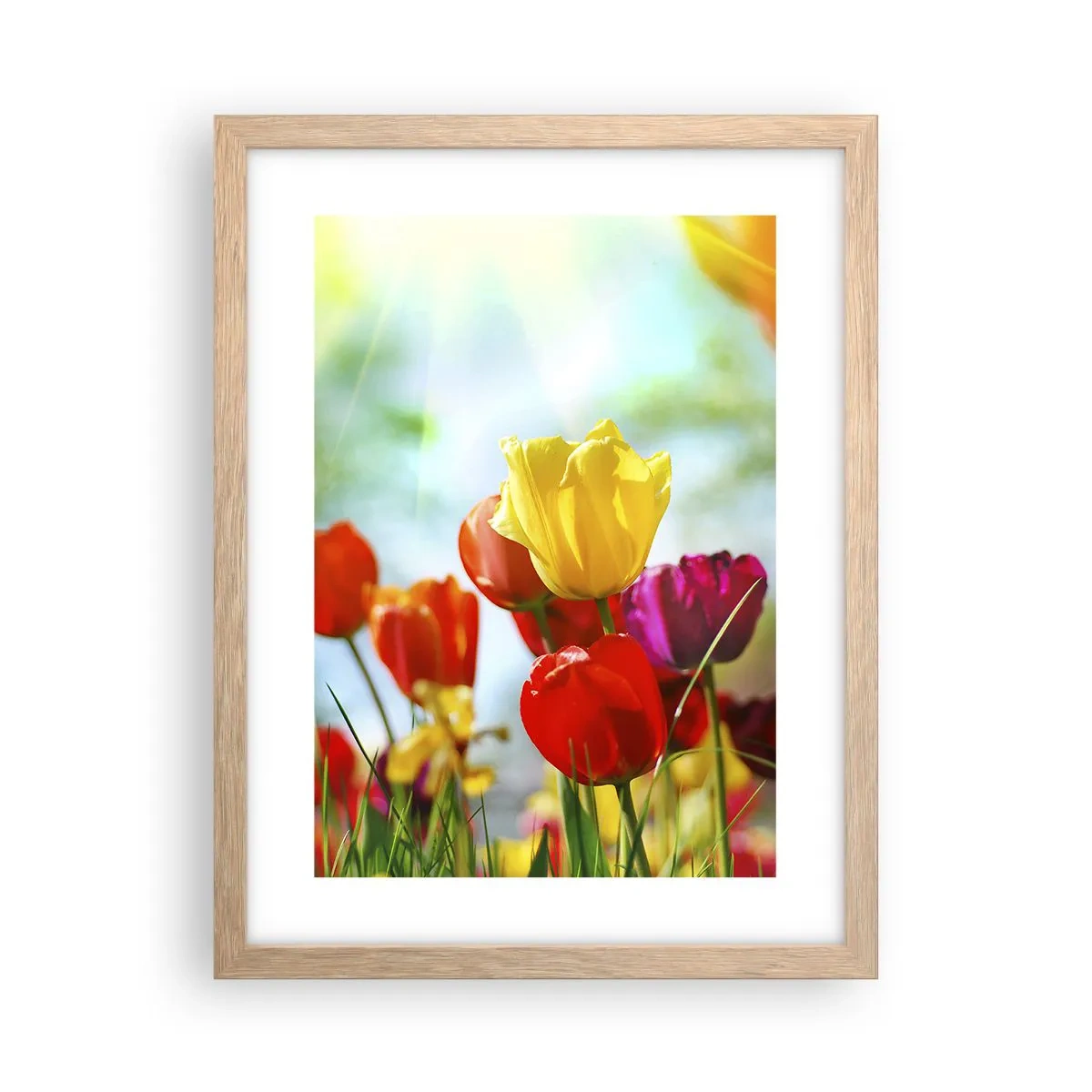 Pôster com moldura de carvalho claro - Todas as cores do sol - 30x40 cm