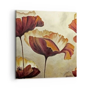 Quadro em tela - Prados e pradarias - 60x60 cm