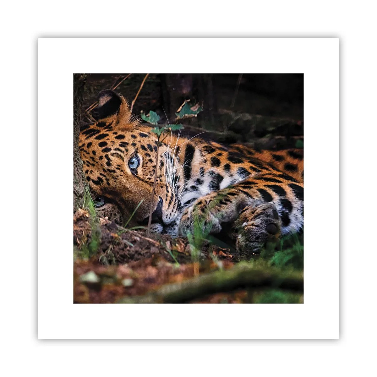 Pôster - Confie em mim - 30x30 cm