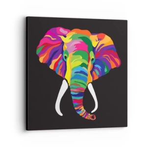 Quadro em tela - O elefante que adorava banhar-se no arco-íris - 30x30 cm