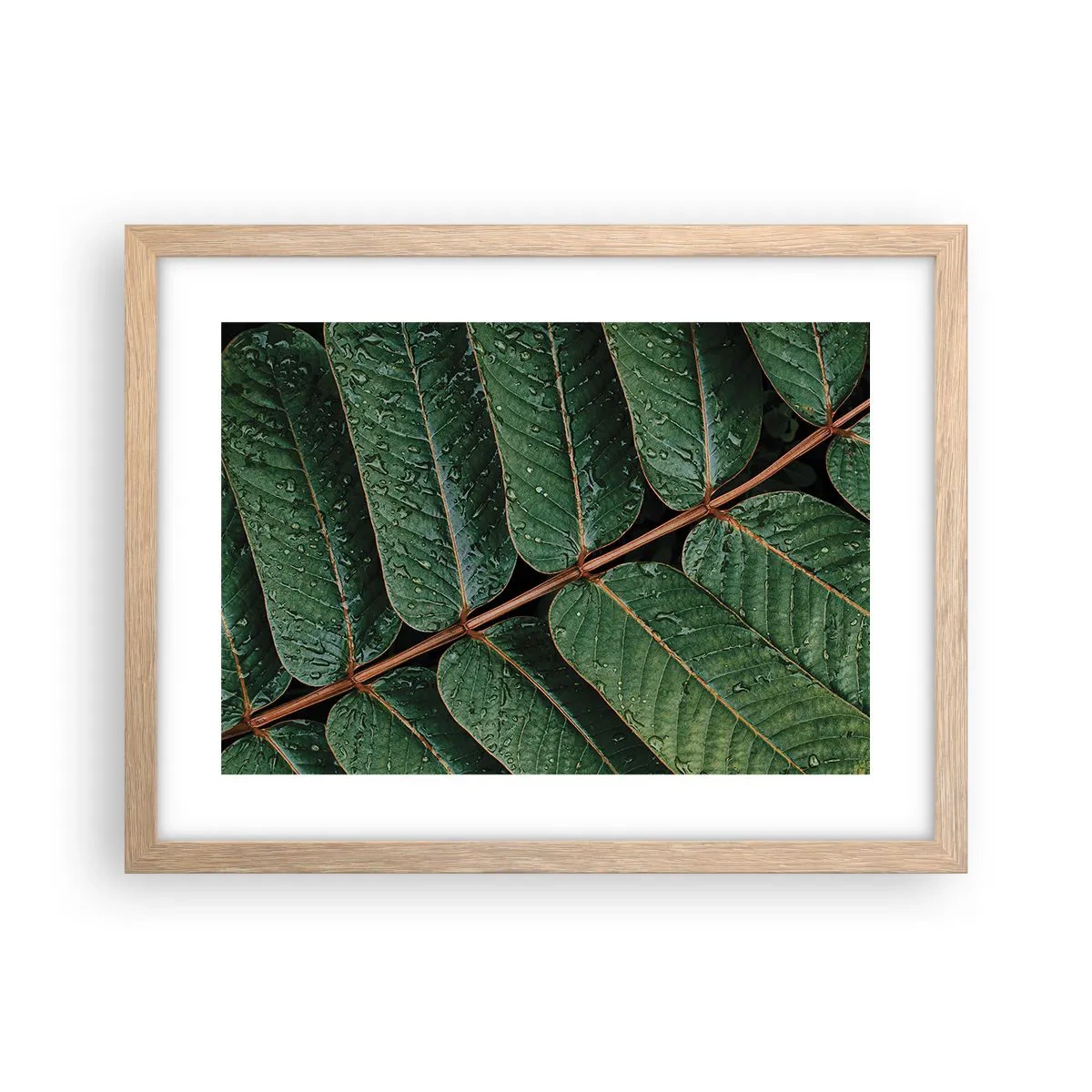 Pôster com moldura de carvalho claro - Num ritmo verde - 40x30 cm