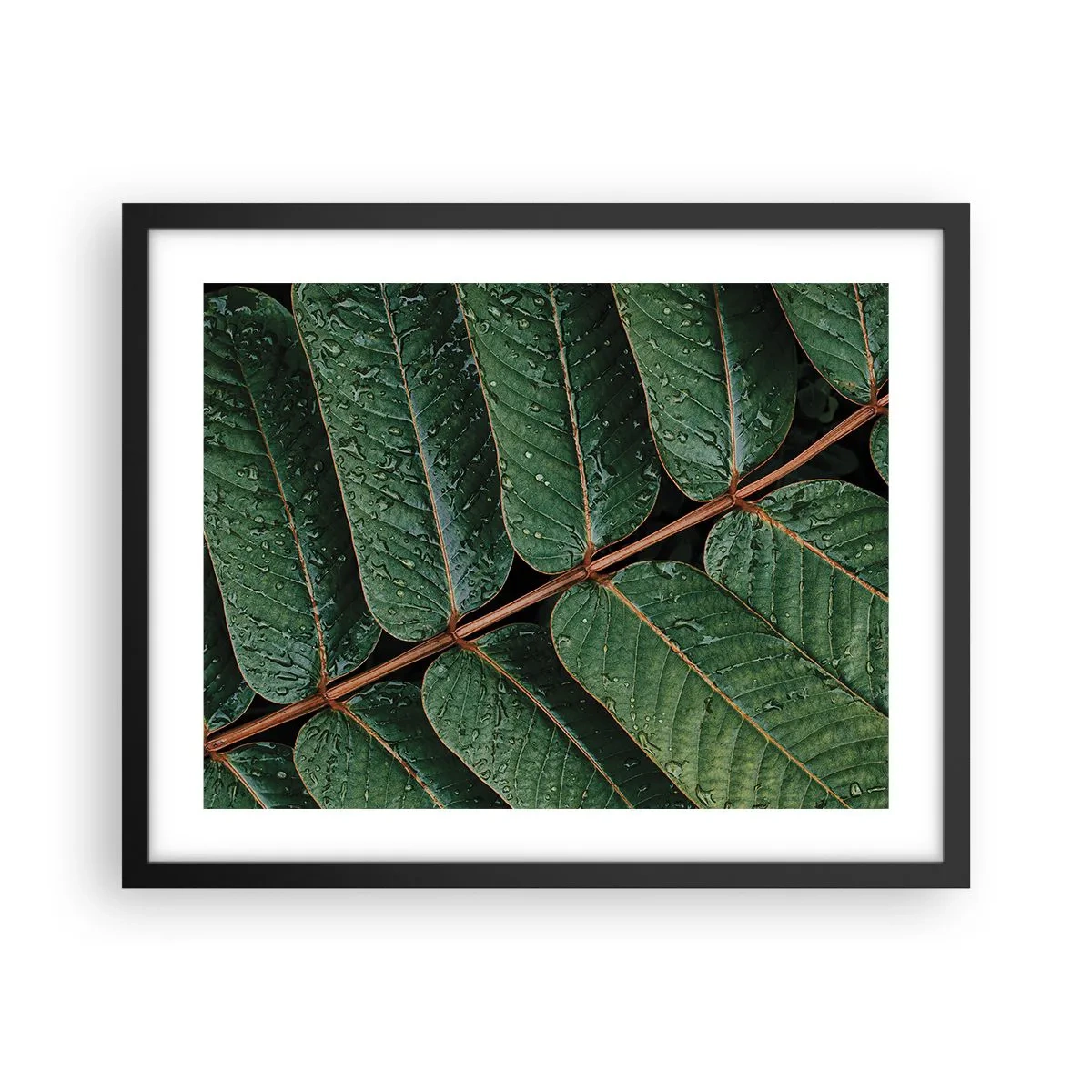 Pôster com moldura preta - Num ritmo verde - 50x40 cm