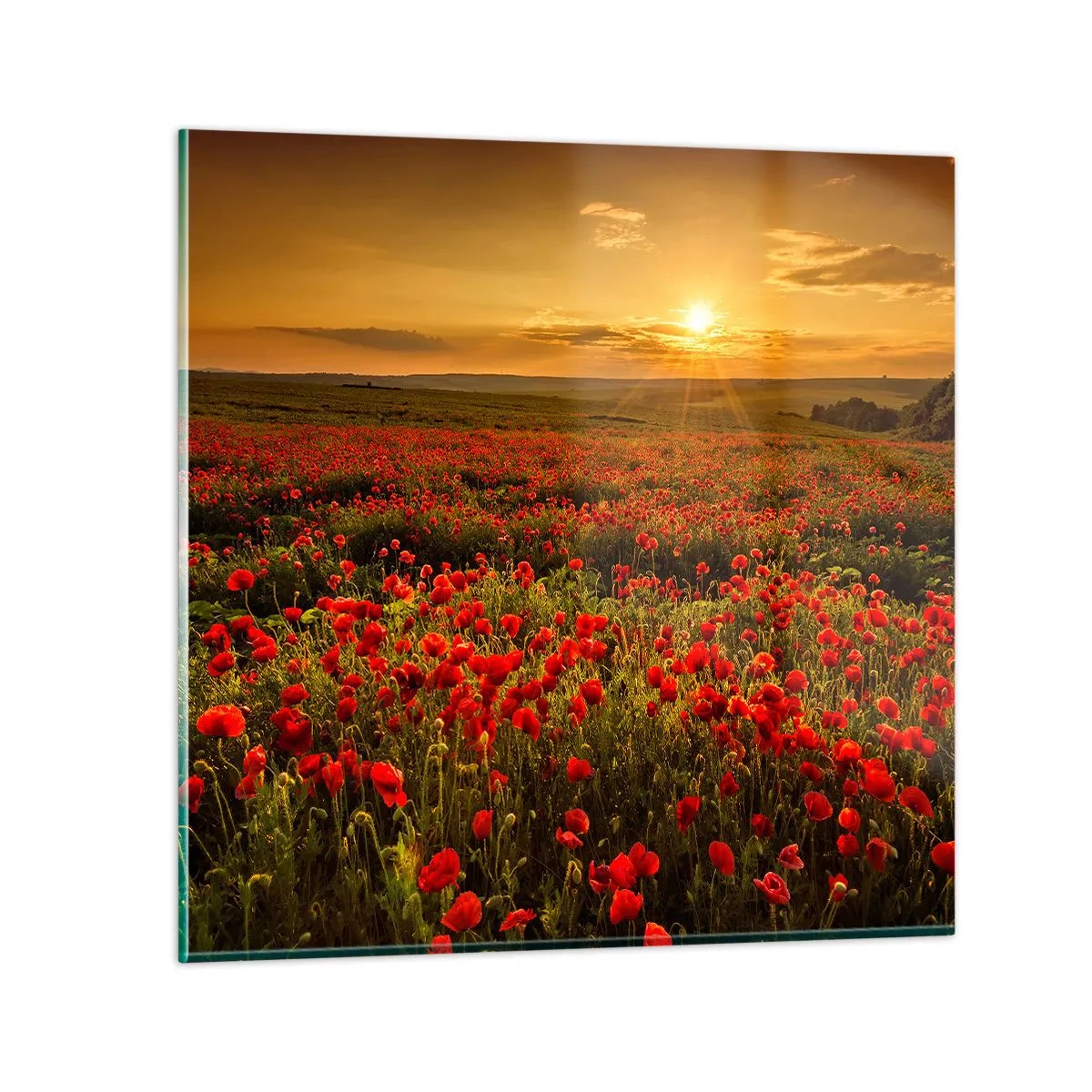 Quadro em vidro - Entre o farfalhar da onda de prados, entre o dilúvio das flores - 30x30 cm