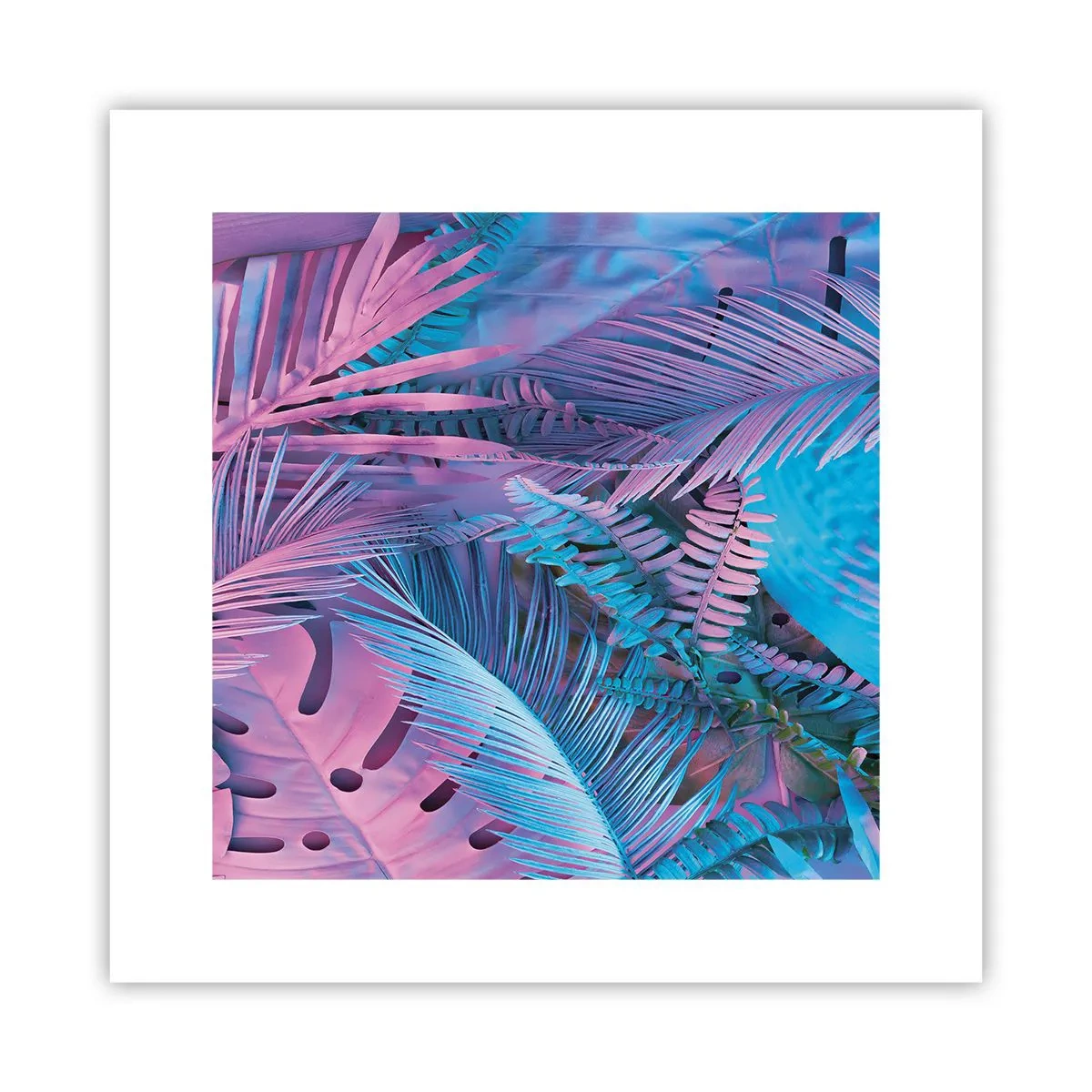 Pôster - Trópicos em rosa e azul - 30x30 cm