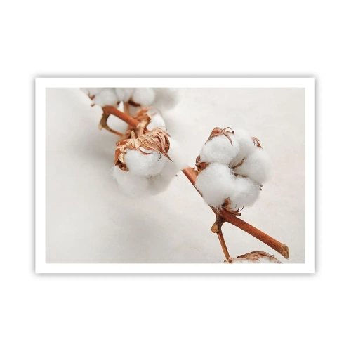 Pôster - Apenas acaricie - 100x70 cm