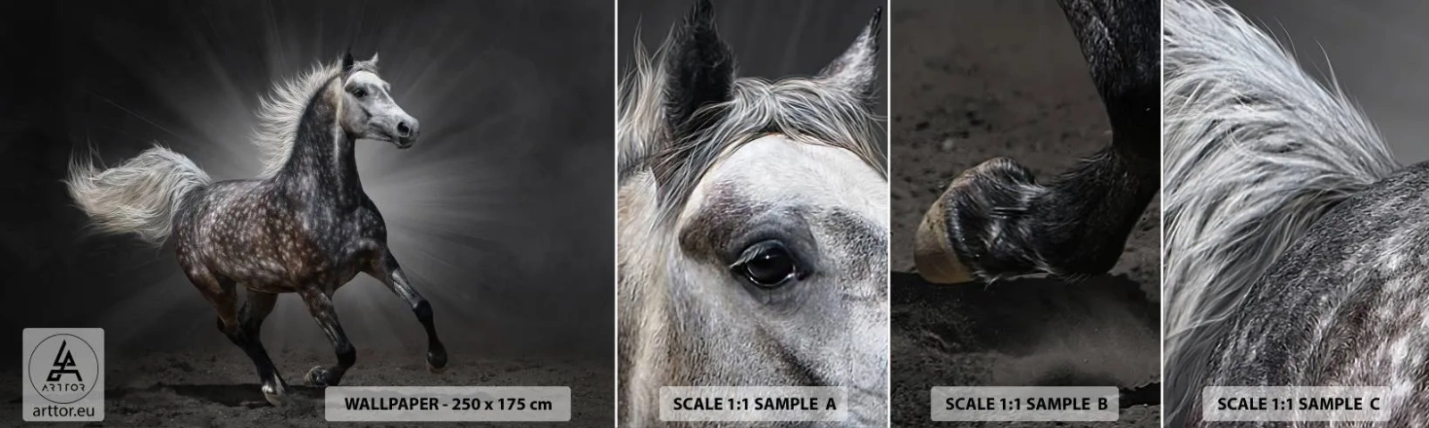 Amostra de papel de parede autocolante Deluxe Sticker - O cinza é lindo - Animais, Cavalo árabe, Natureza - 100x30 cm