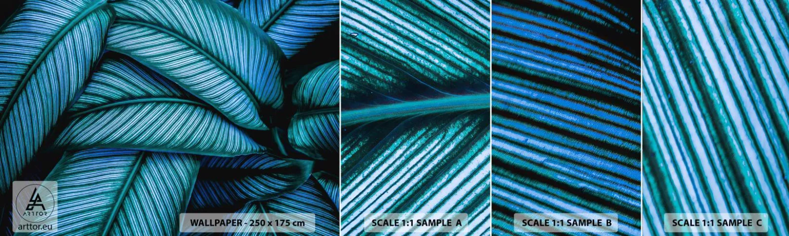 Amostra de Papel de Parede Standard Eco - Linhas de vida - Folhas, Botânica, Plantas - 100x30 cm