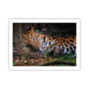 Pôster - Confie em mim - 70x50 cm