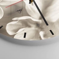 Mostrador com traços