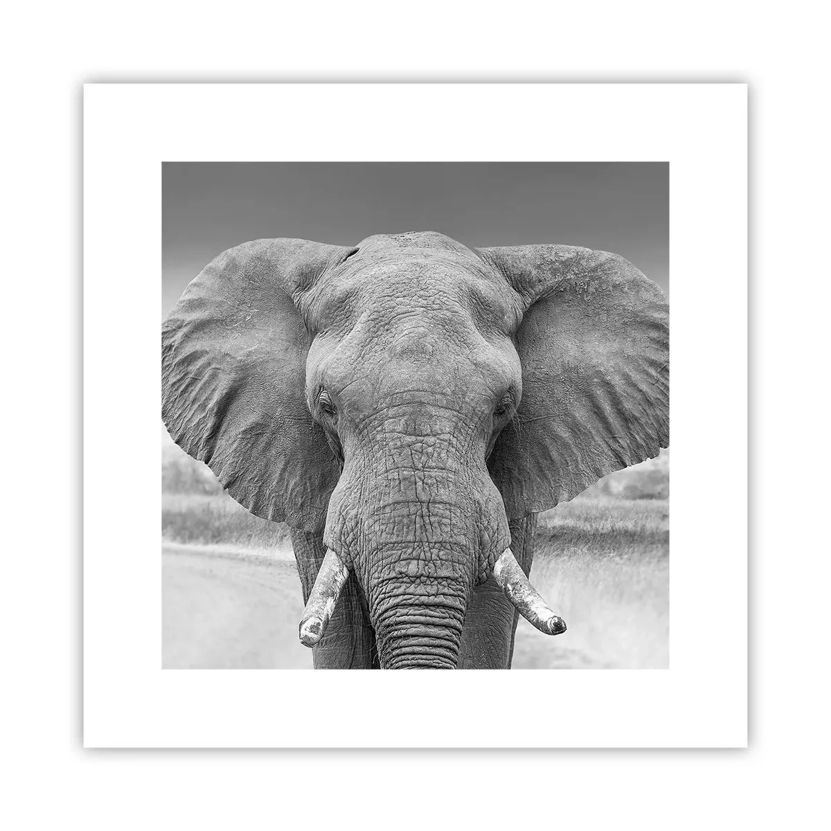 Pôster - Bem-vindo ao meu mundo - 30x30 cm