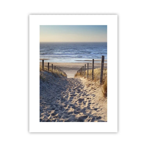 Pôster - O som do mar, o canto dos pássaros, a praia selvagem entre a relva... - 30x40 cm