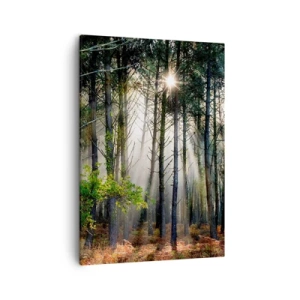 Quadro em tela - Uma área florestal - 50x70 cm