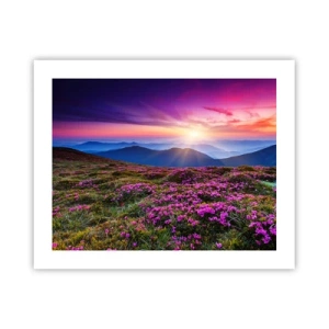 Pôster - Campo cheiroso - 50x40 cm