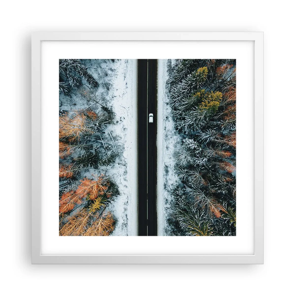 Pôster em moldura branca - Cortar a floresta no inverno - 40x40 cm