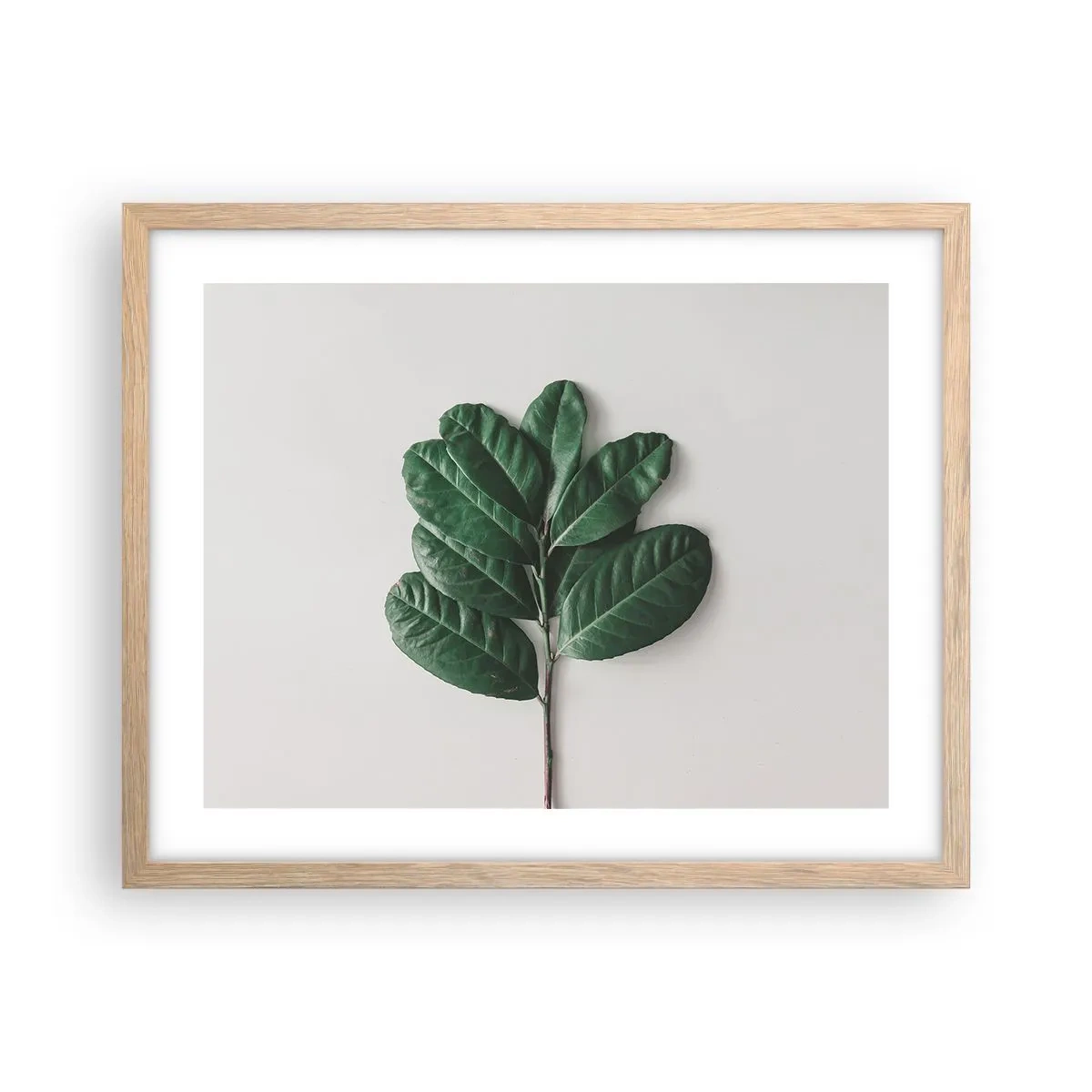 Pôster com moldura de carvalho claro - Desenho da própria natureza - 50x40 cm