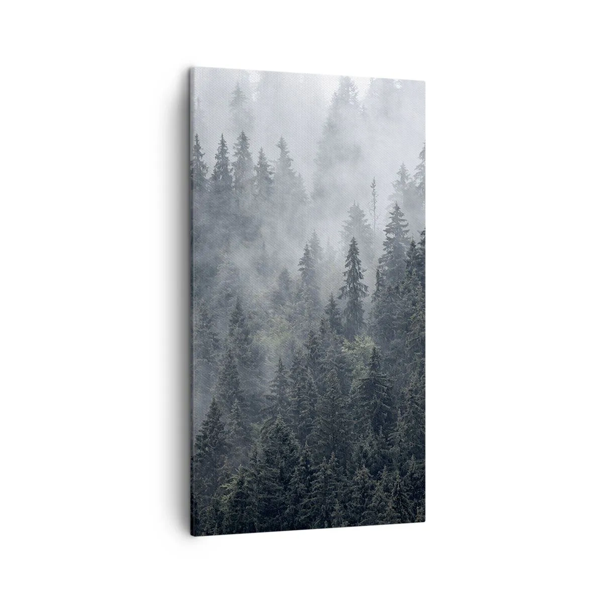 Quadro em tela - O amanhecer da floresta - 45x80 cm