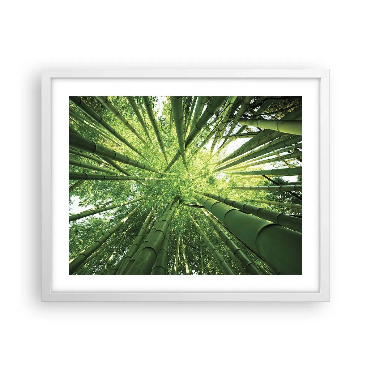 Pôster em moldura branca - Em um bosque de bambu - 50x40 cm