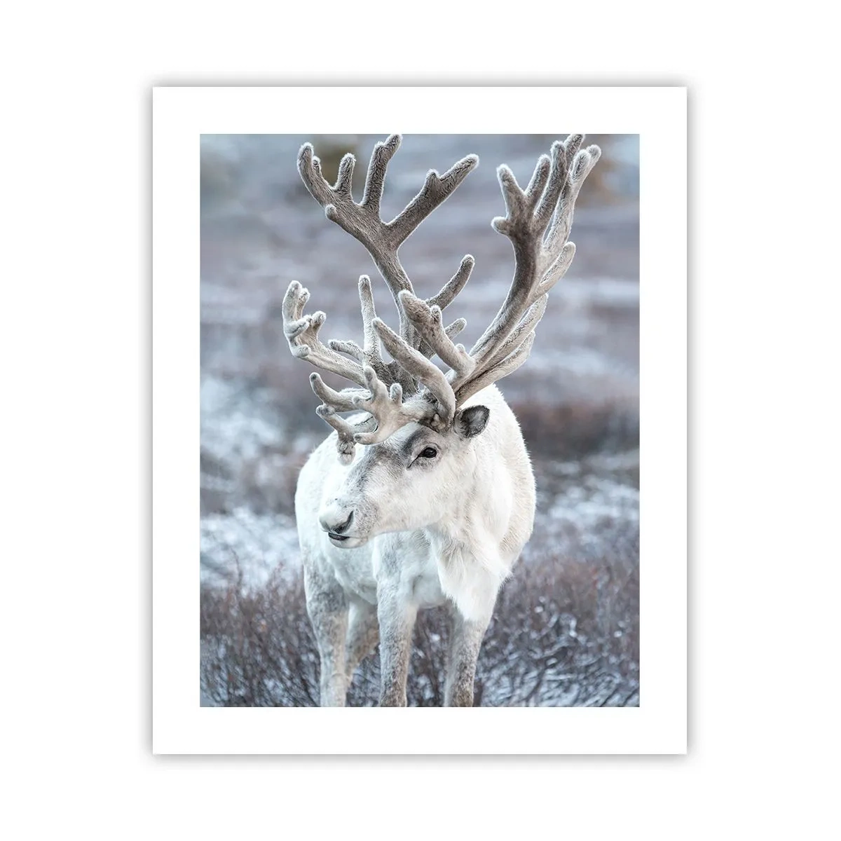 Pôster - Retrato ao sol - 40x50 cm